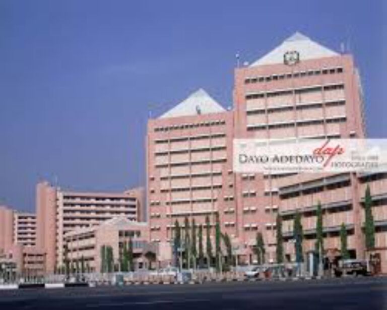 Secretariat fires: 2 officials hospitalised, no life lost- FG