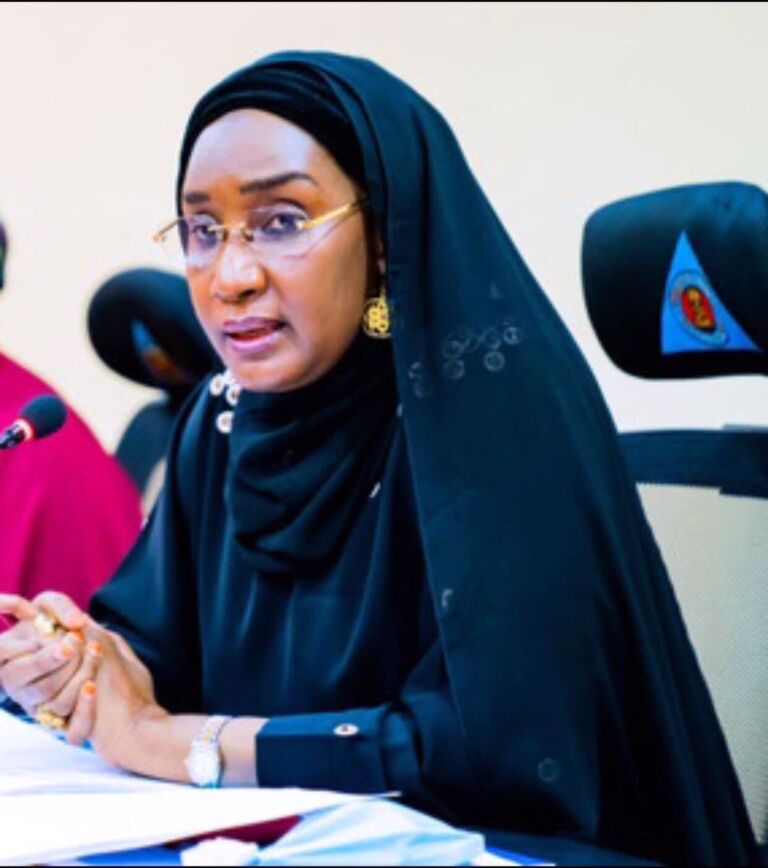 FG to focus on investment over reversing climate change effects