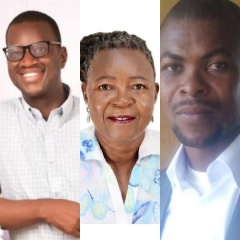 El-Rufai’s threat to engage mercenaries: “All we need is peace”