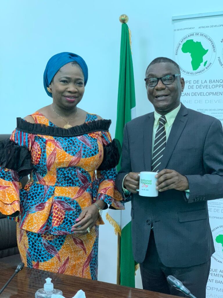 NiDCOM partners AfDB on trust fund, investment, others