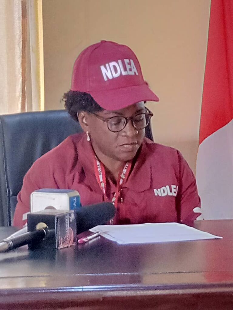 NDLEA decries high drug use in Benue, arrest 211 suspects in one year