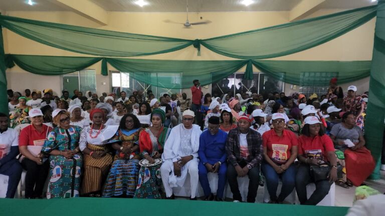 Road to 2023: APC chieftain rallies support for Tinubu