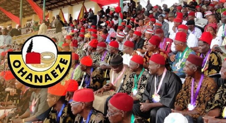 2023: Stop ethnic tension – Ohanaeze cautions youth group