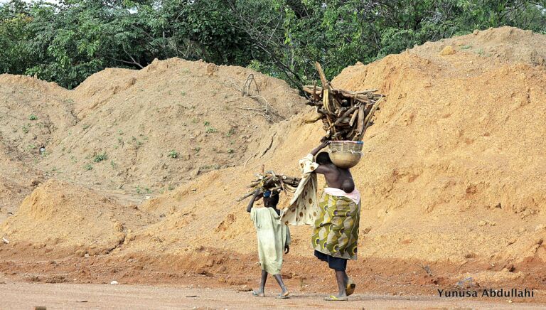 The Housekeeper as a Metaphor for Rising Poverty and Inequality