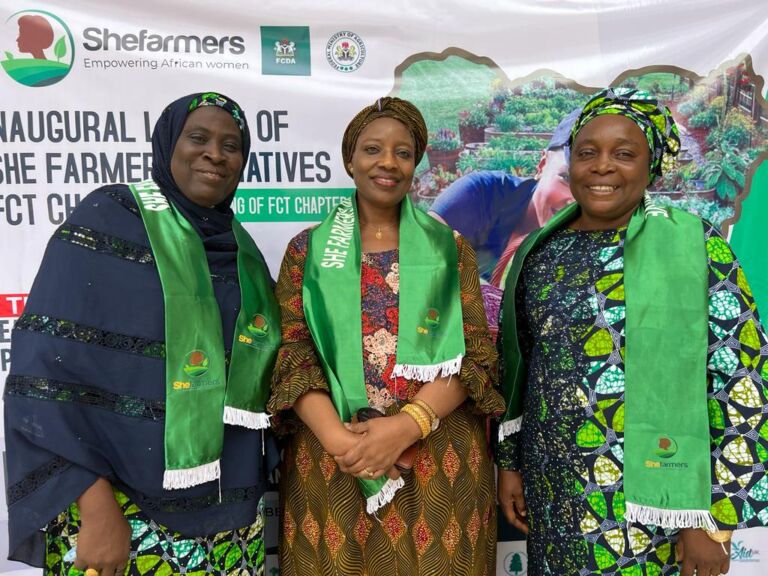 Food security: group roll-out intervention for 20,000 farmers in FCT
