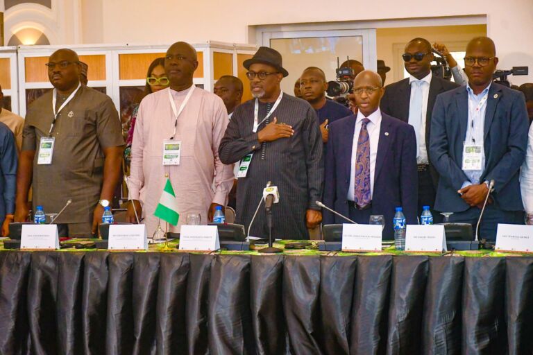 Stakeholders Stress Local Solutions for Africa’s Oil and Gas Challenges.