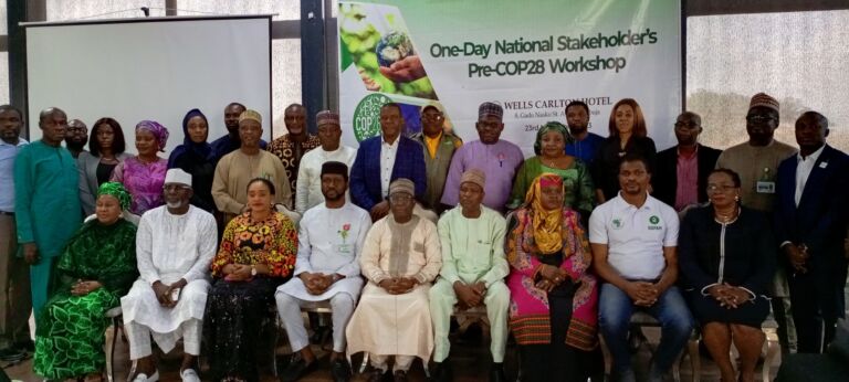 COP 28: Nigeria Sets Sights on Energy Transition, Finance, others 