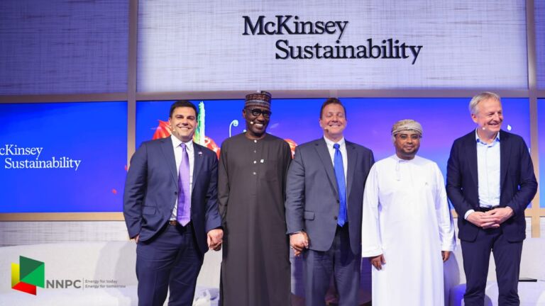 COP 28: Kyari calls for just energy transition for Africa