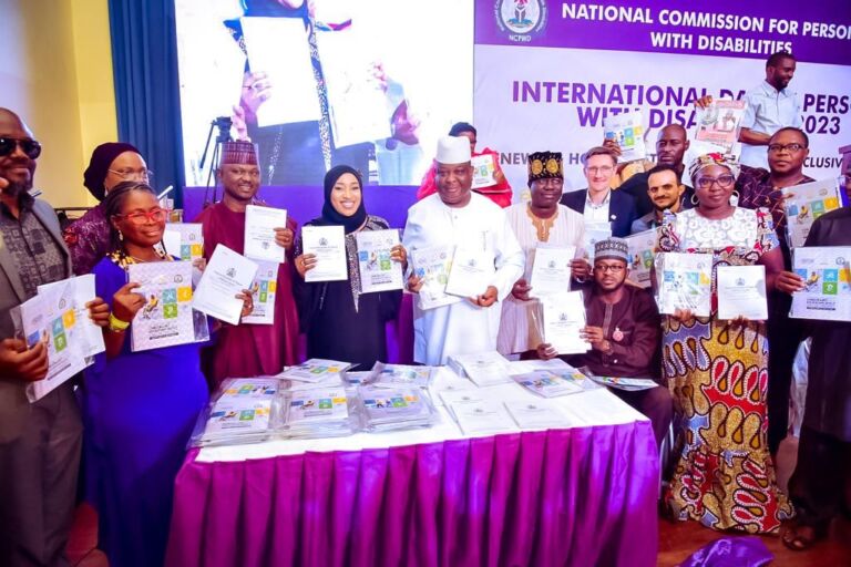 IDPD: Public buildings without access to face closure in 2024 – Minister