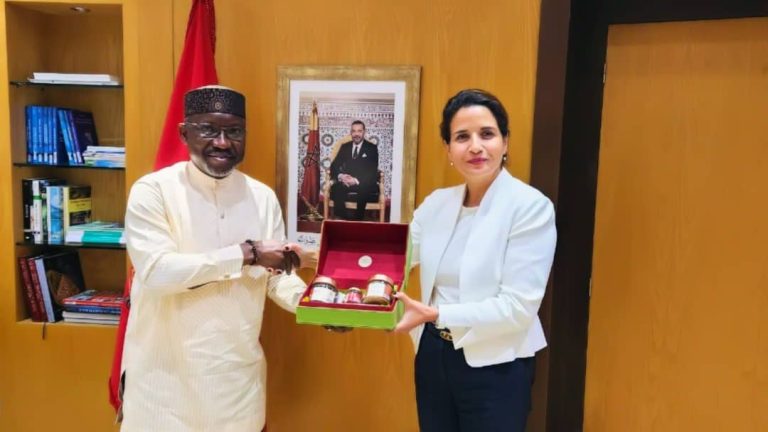 Nigeria, Morocco in talks to speed up gas pipeline project