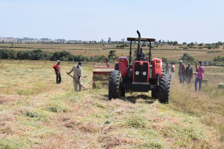 TrustAfrica, Agroecology launch funds for West, Eastern Africa to tackle hunger, climate change