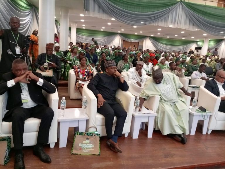 45% of Nigerians lack access to electricity- Shettima