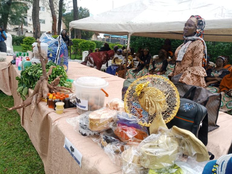 Group mobilises support for widows in Abuja 