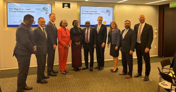 Special Adviser to the President on Energy, Olu Verheijen (5th from left); Minister of State for Petroleum Resources (Gas), Hon Ekperikpe Ekpo (5th from right) in a group photograph with members of the U.S. – Nigeria Energy Security Dialogue held in Washington, DC. On Tuesday.