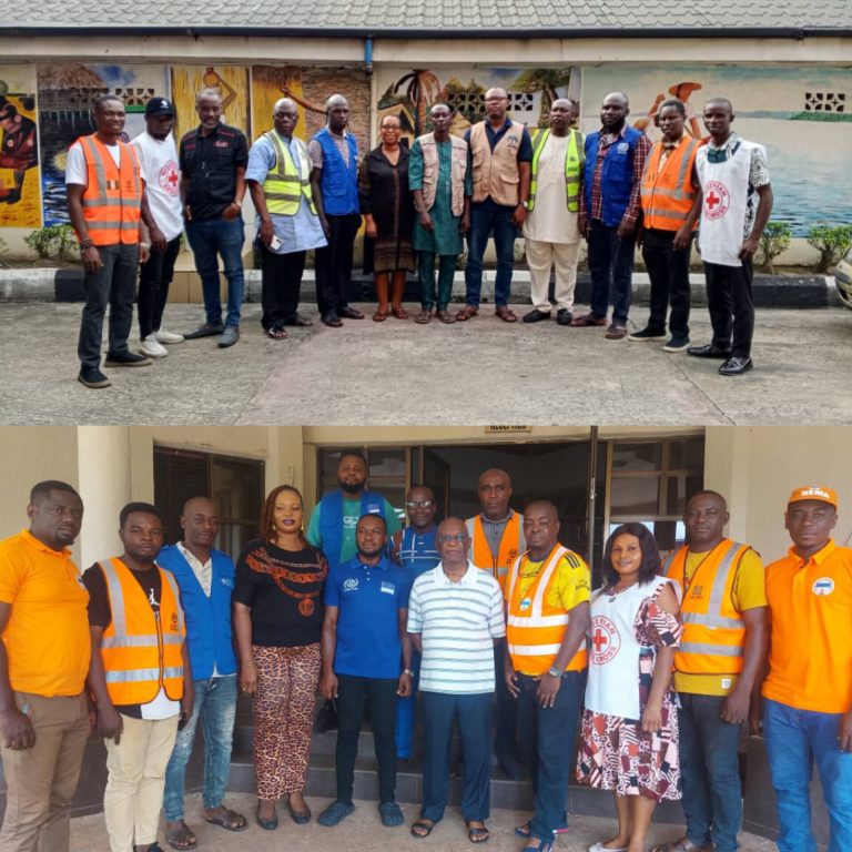 NEMA moves to access flood impact in Anambra, Bayelsa