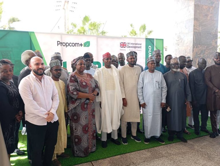 Propcom+ targets to improve 4m Nigerians’ income by 2030, invests £95m