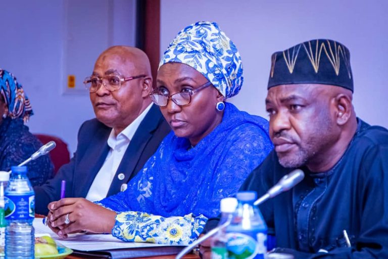 NEMA DG Defends 2025 Budget