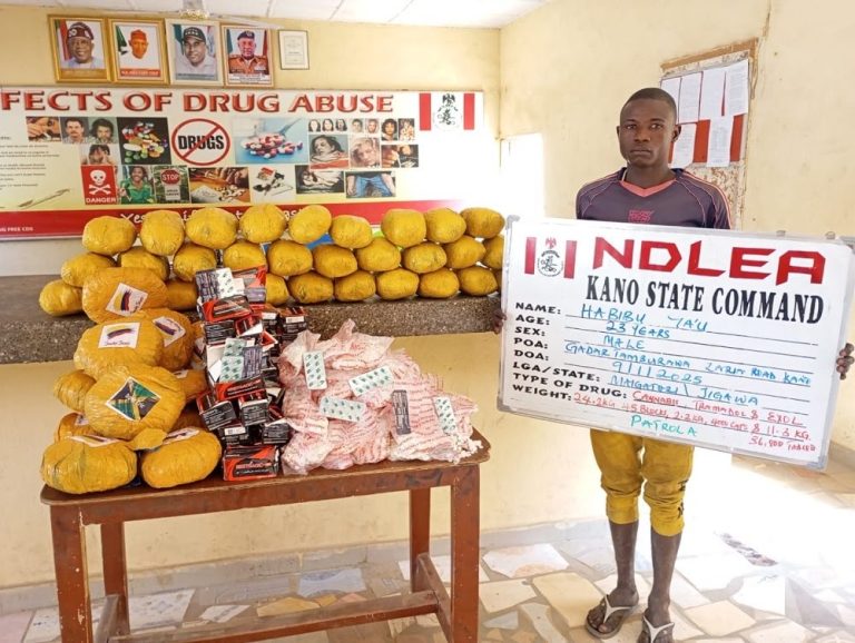 NDLEA seizes 6 vehicles, 40ft trailer load skunk in Abuja midnight raid