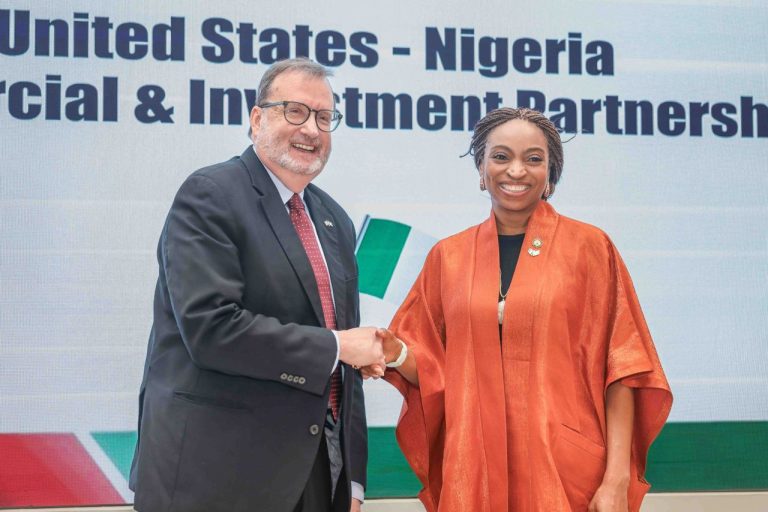 US, Nigeria business working groups deepen cooperation to expand opportunities  