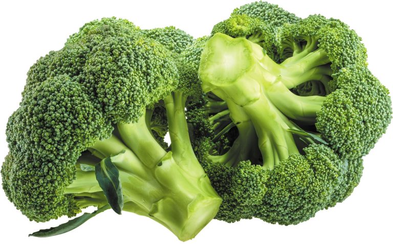 Broccoli can have a protective effect against colon cancer, study reveals