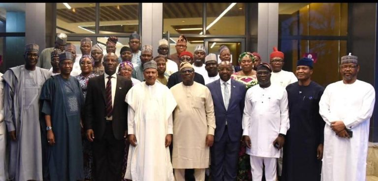 Tinubu’s development agenda not politics driven — Idris