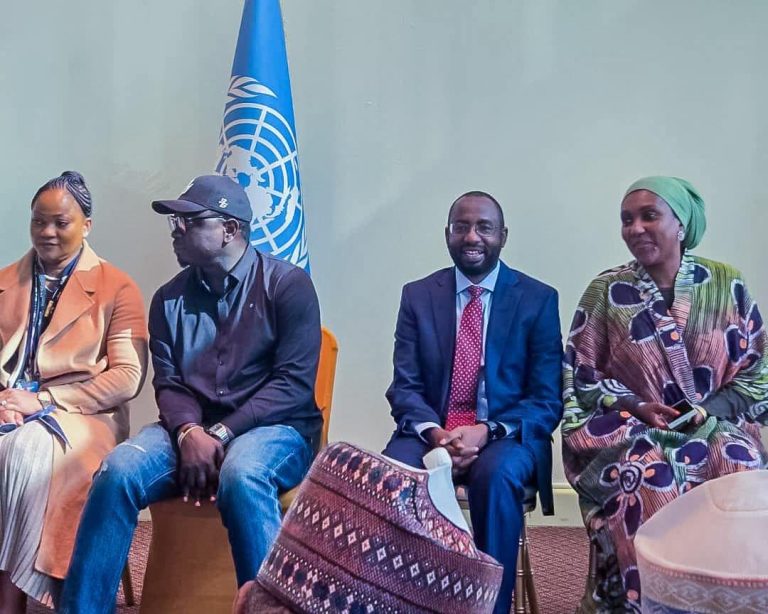 UNGA: NEMA advocates partnerships to strengthen disaster resilience