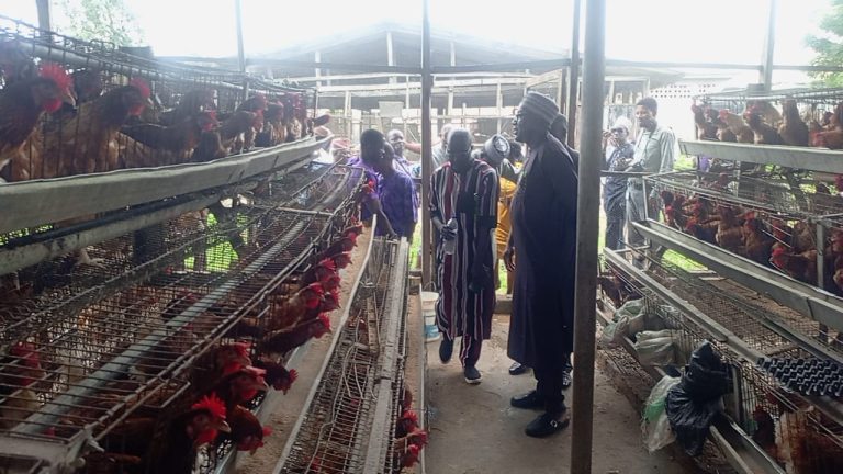 ARCN boss vows to boost research, food security
