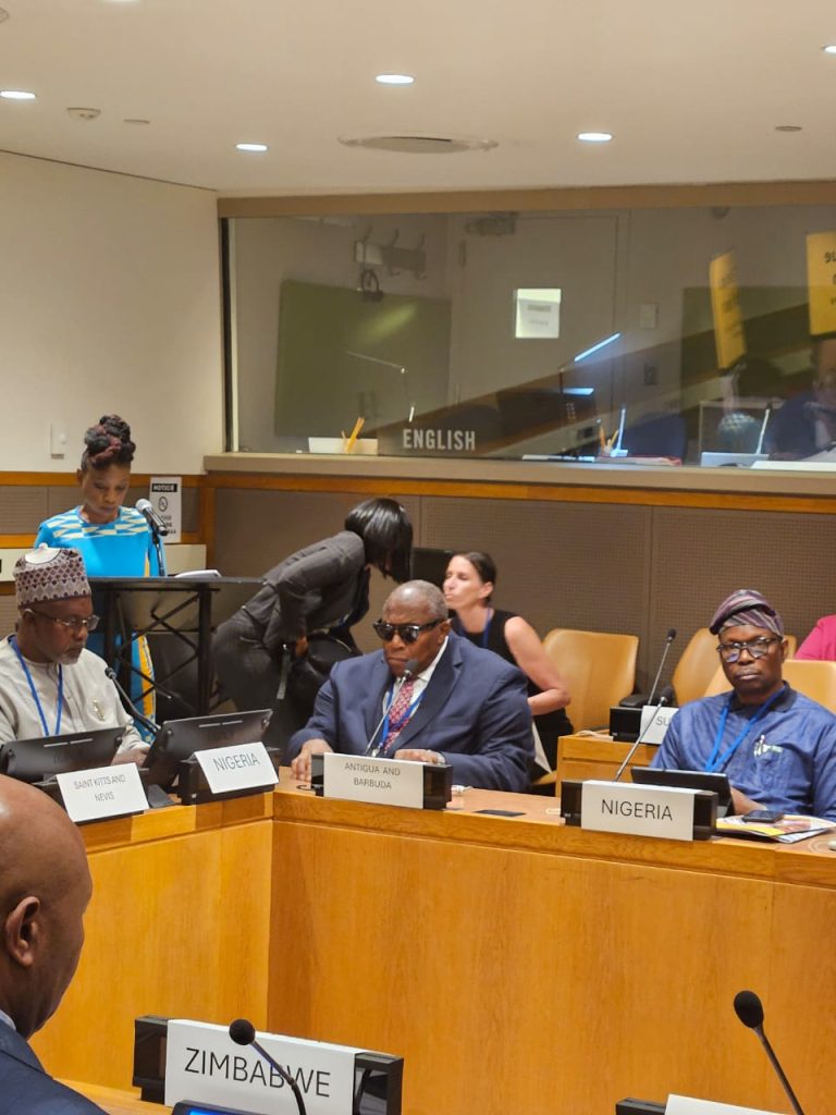 80th UNGA: FG seeks global support to fight blindness