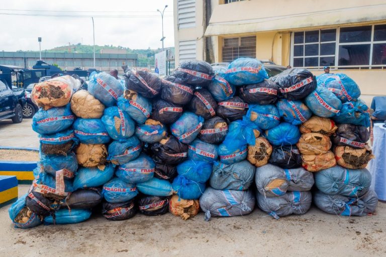 FCT police arrest 11 drug dealers, seize 68 bags of cannabis