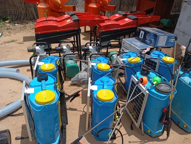 Tackling food shortage: How Adamawa women are embracing climate-smart farming