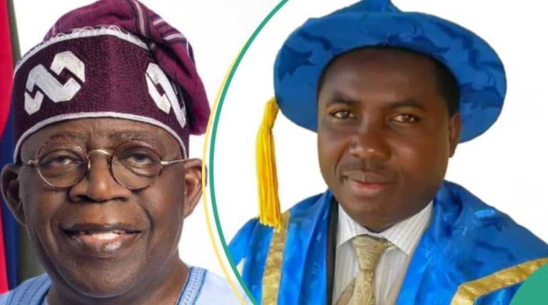 Council of State Approves Appointment of Amupitan as INEC Chairman