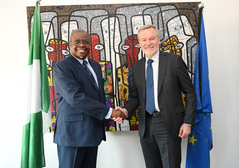 NEPZA seeks integration of Nigerian economic zones in EU value chains