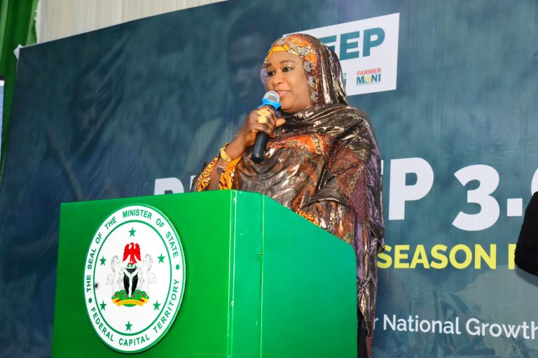 GEEP 3.0 will lift micro businesses, strengthen households – Mahmoud