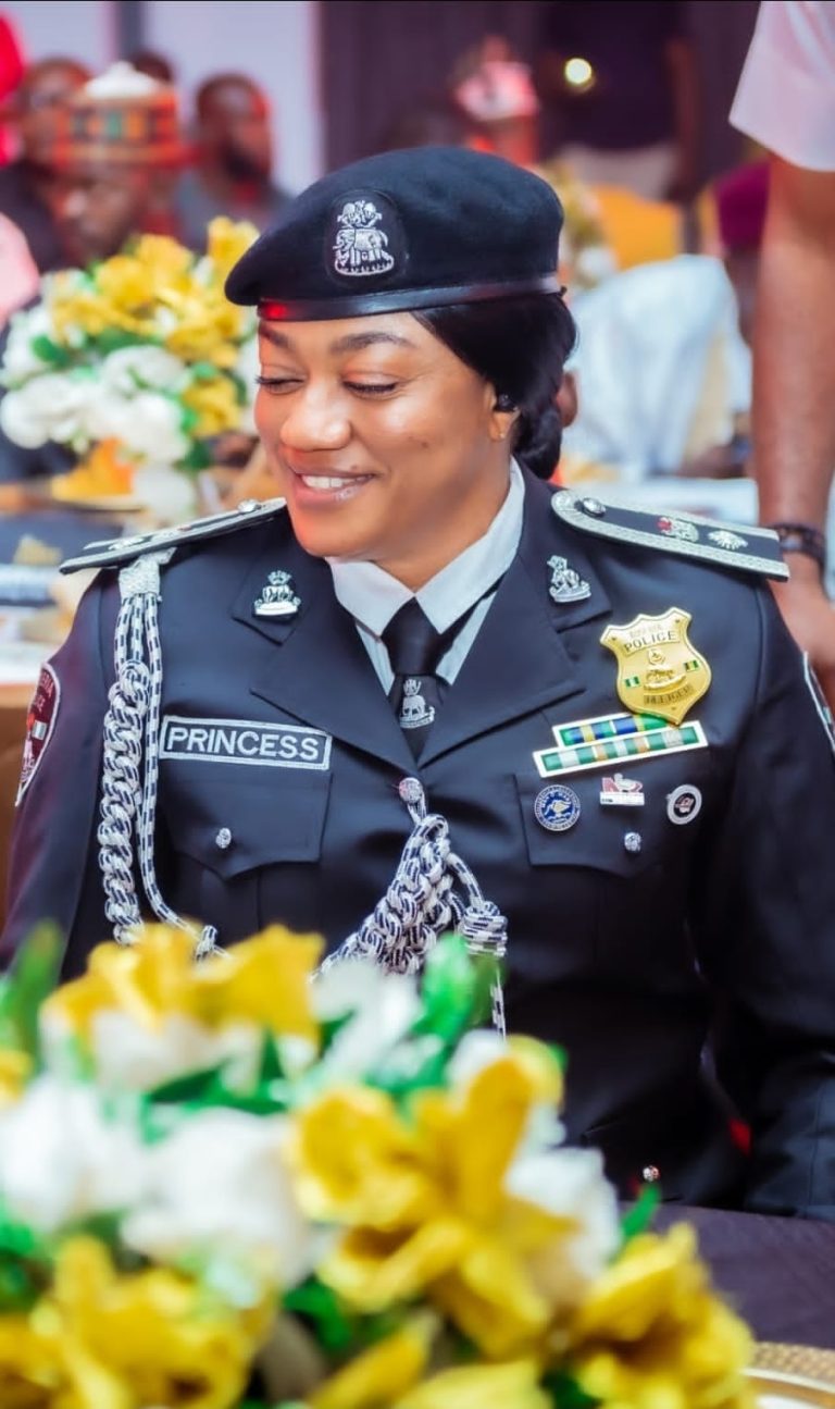 Police officer hails IGP Disu’s postings, cites merit