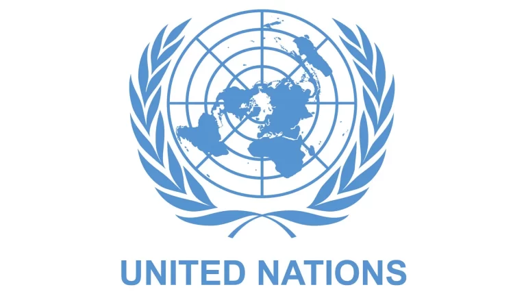 IWD: No country has achieved full gender equality, says UN