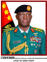 Army dismisses reports on murder of 40 soldiers in Borno