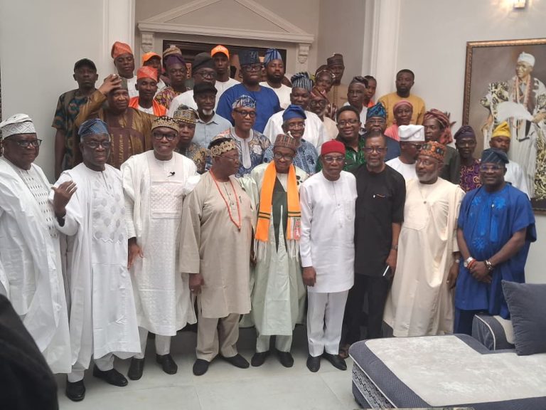 2027: Afenifere, Arewa Forum, Northern Elders back SDP