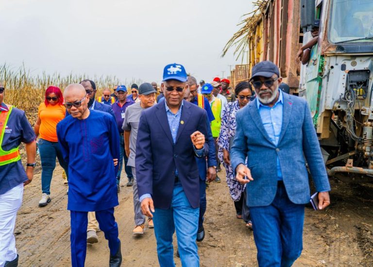 FG seeks 600,000mt annual sugar output from Dangote by 2030