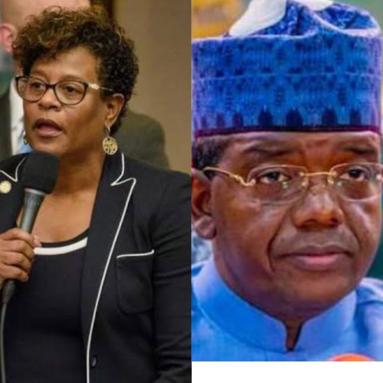 Florida lawmaker seeks Matawalle’s removal over ‘genocide concerns’ in Nigeria