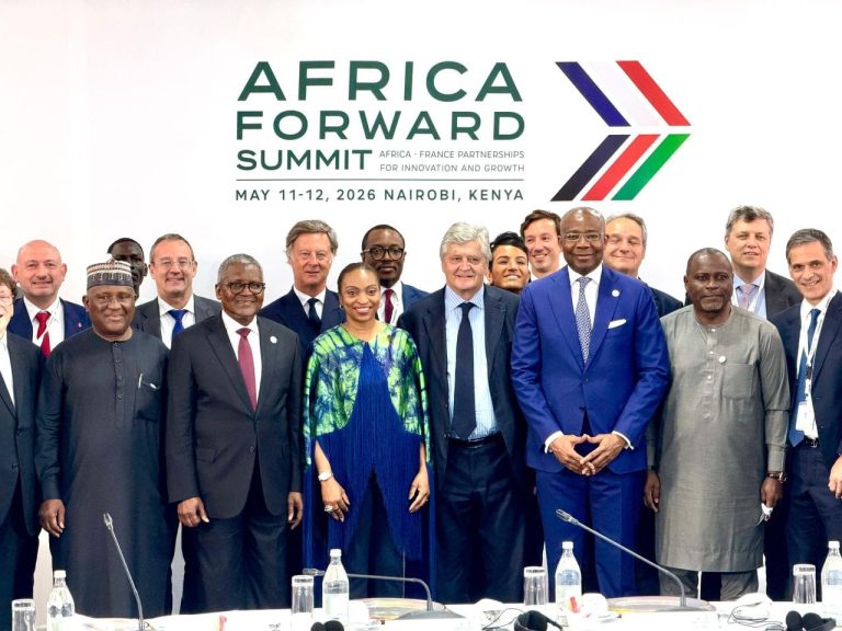 Tinubu Says France-Nigeria Partnership Enters Action Phase