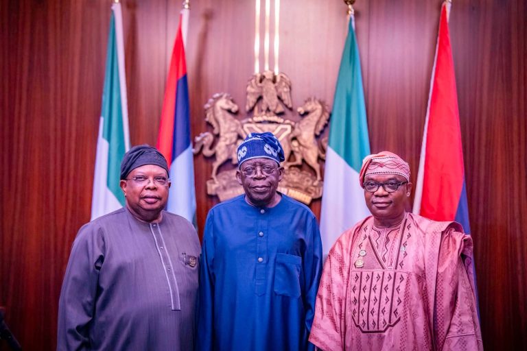 Tinubu swears in new Power Minister, Minister of State for Foreign Affairs