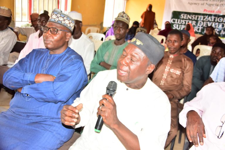 SMEDAN trains Kano MSMEs clusters to improve productivity