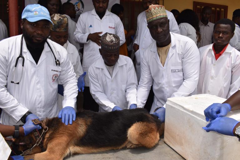 FCTA warns vets against charging for rabies vaccination