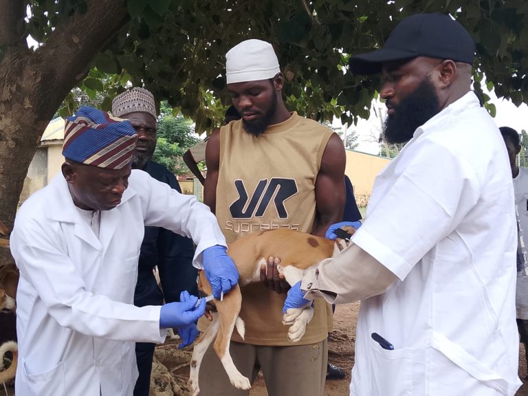 FCTA set to vaccinate 20,000 dogs, cats against rabies