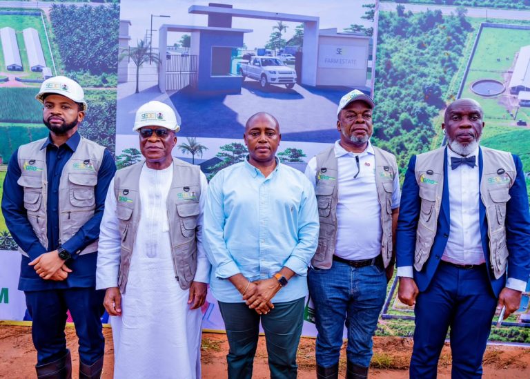 SEDC launches 200-hectare integrated farm in Enugu