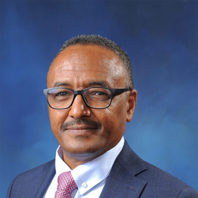Talking under fire: What Libya and Yemen teach Sudan about national dialogue